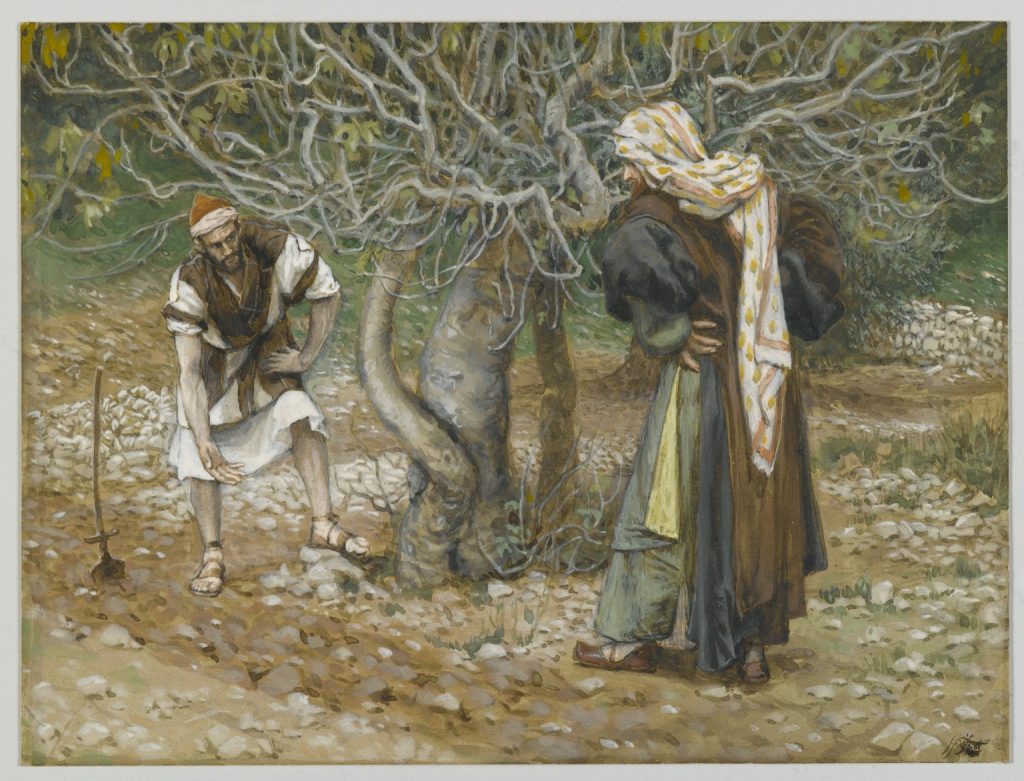 그림: "포도원지기와 무화과나무", James Tissot
