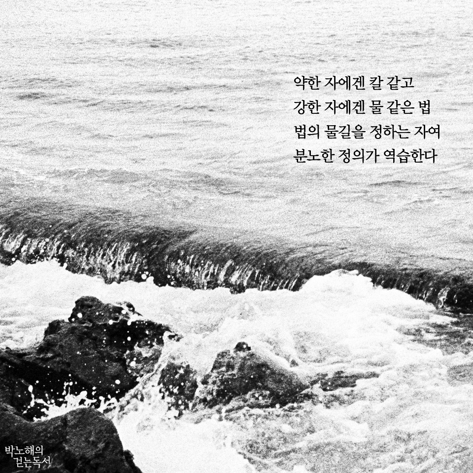 약한 자에겐 칼 같고 강한 자에겐 물 같은 법 법의 물길을 정하는 자여 분노한 정의가 역습한다  -박노해 Indonesia, 2013. 사진 박노해